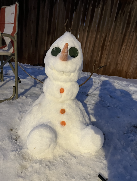 Senior Falak Hasan passed time by recreating popular character Olaf from the movie “Frozen,” in her backyard.
